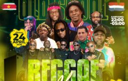 Reggae Mix Nederland MrZonneman